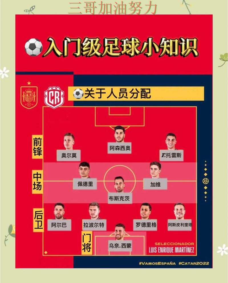 世界杯买球是否安全指南：使用指南全流程解析（世界杯数据）